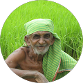 ফিরে পাওয়া